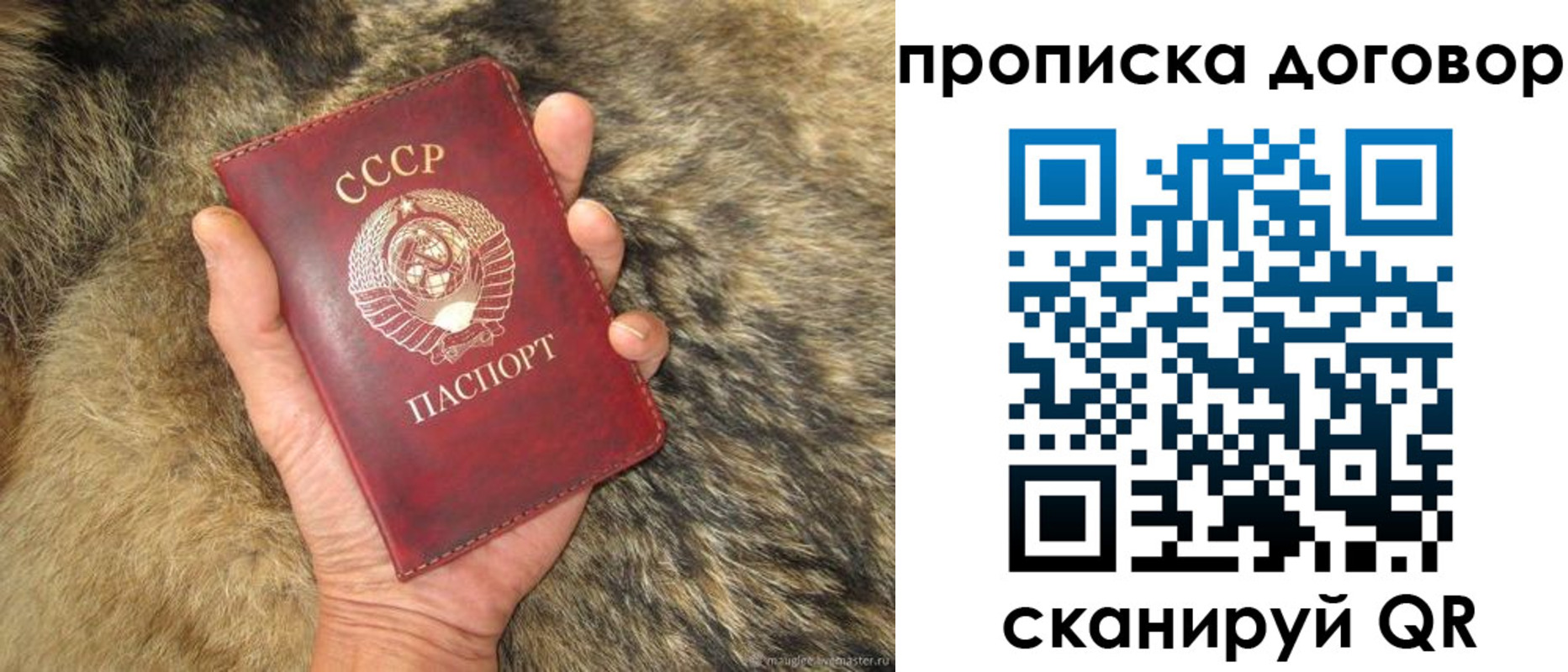 прописка регистрация в Волхове